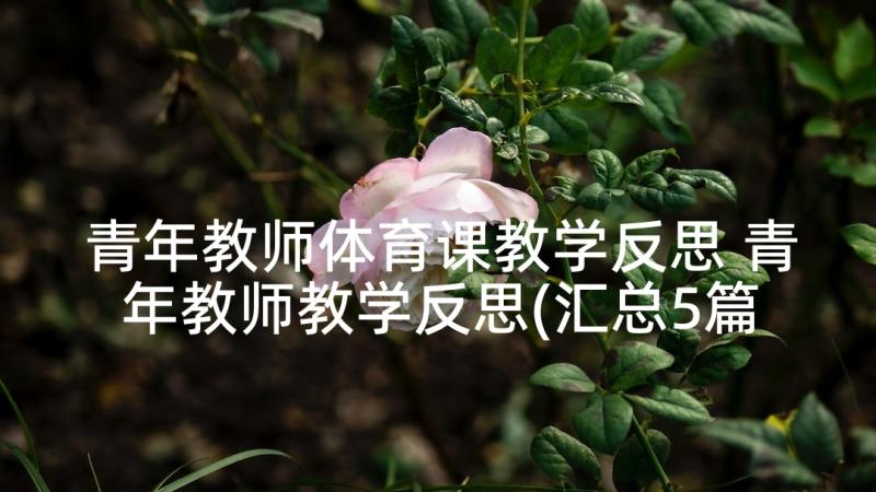 青年教师体育课教学反思 青年教师教学反思(汇总5篇)