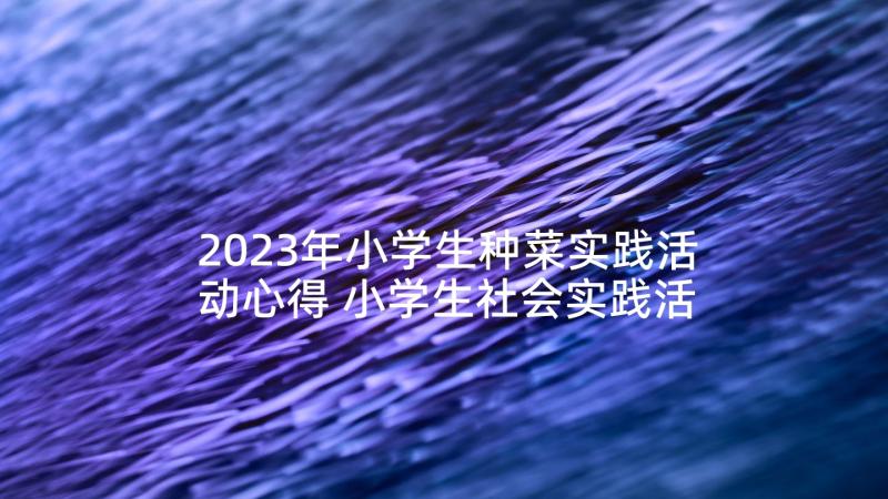 2023年小学生种菜实践活动心得 小学生社会实践活动心得(优秀10篇)