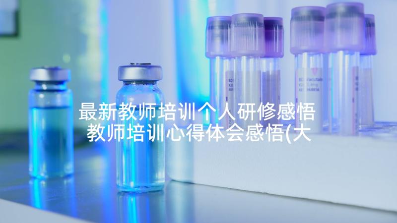 最新教师培训个人研修感悟 教师培训心得体会感悟(大全5篇)