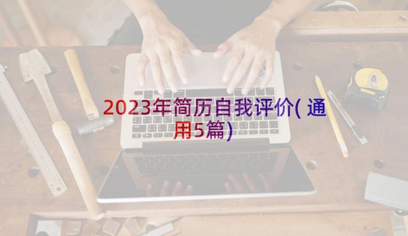 2023年简历自我评价(通用5篇)