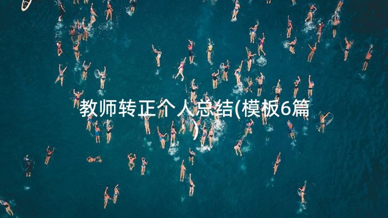 教师转正个人总结(模板6篇)