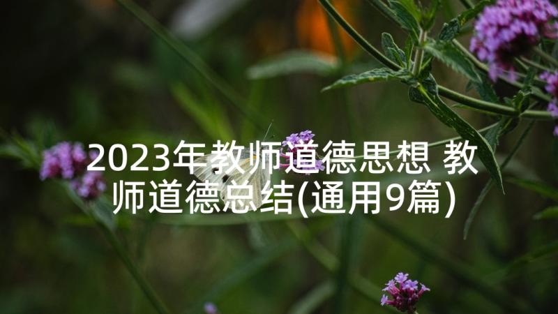 2023年教师道德思想 教师道德总结(通用9篇)