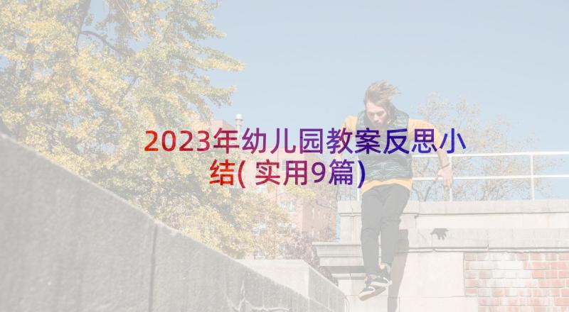 2023年幼儿园教案反思小结(实用9篇)