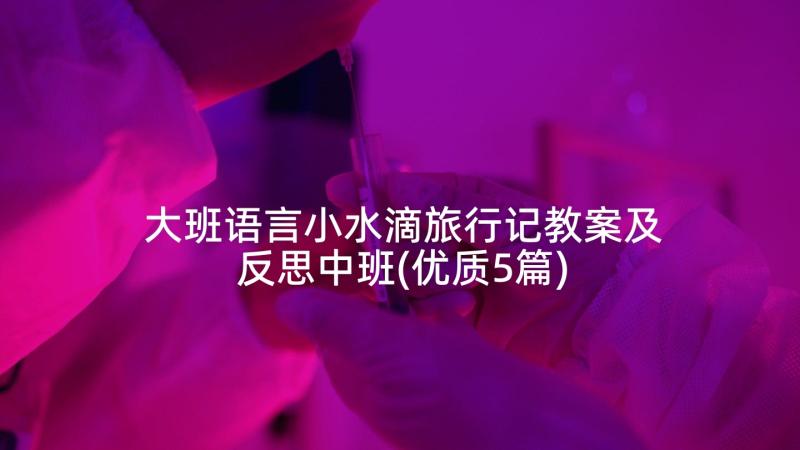 大班语言小水滴旅行记教案及反思中班(优质5篇)