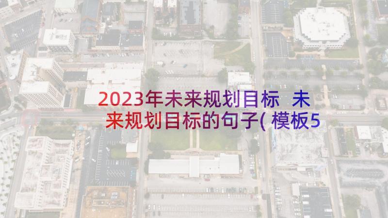 2023年未来规划目标 未来规划目标的句子(模板5篇)