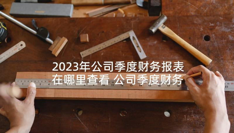 2023年公司季度财务报表在哪里查看 公司季度财务分析报告(优秀5篇)