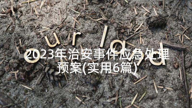 2023年治安事件应急处理预案(实用6篇)