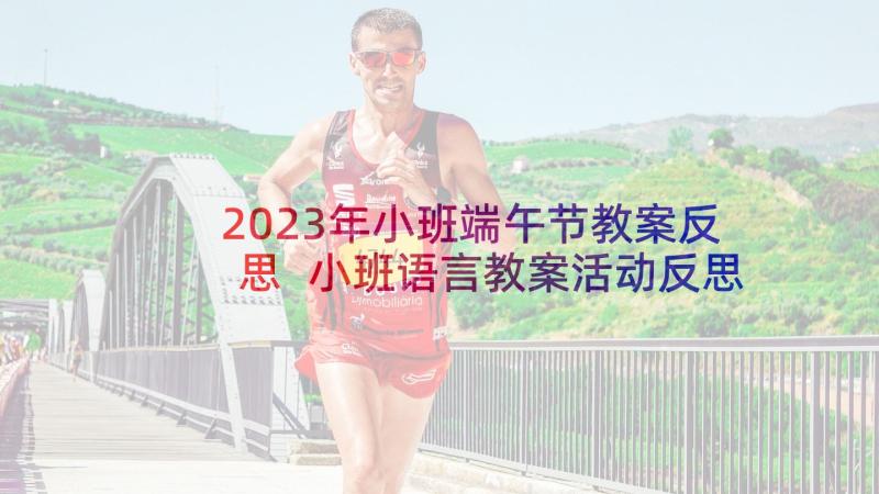 2023年小班端午节教案反思 小班语言教案活动反思(优秀10篇)