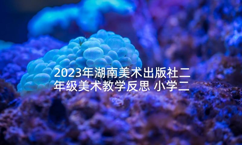2023年湖南美术出版社二年级美术教学反思 小学二年级美术教学反思(模板5篇)