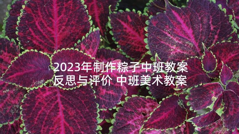 2023年制作粽子中班教案反思与评价 中班美术教案及教学反思制作手套(汇总5篇)