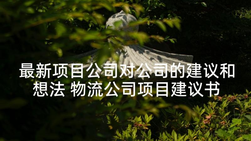 最新项目公司对公司的建议和想法 物流公司项目建议书(精选5篇)