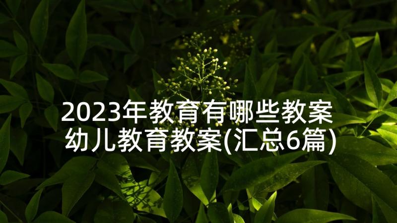 2023年教育有哪些教案 幼儿教育教案(汇总6篇)