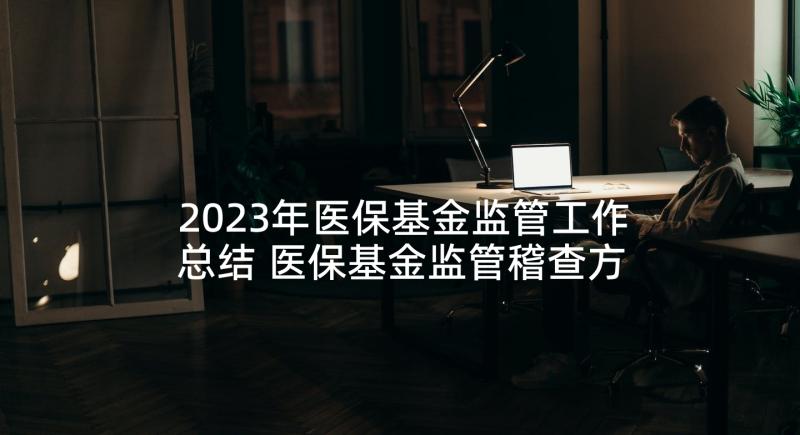 2023年医保基金监管工作总结 医保基金监管稽查方案(实用5篇)