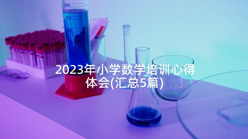 2023年小学数学培训心得体会(汇总5篇)