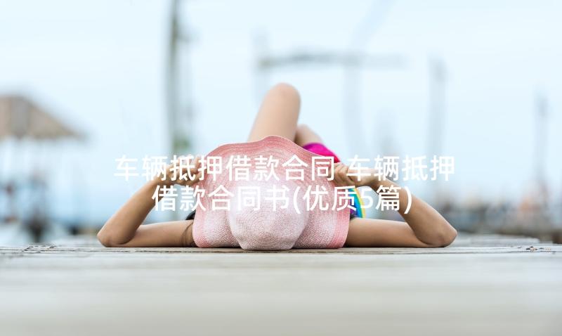 车辆抵押借款合同 车辆抵押借款合同书(优质5篇)