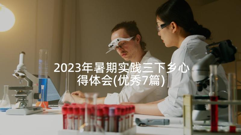 2023年暑期实践三下乡心得体会(优秀7篇)
