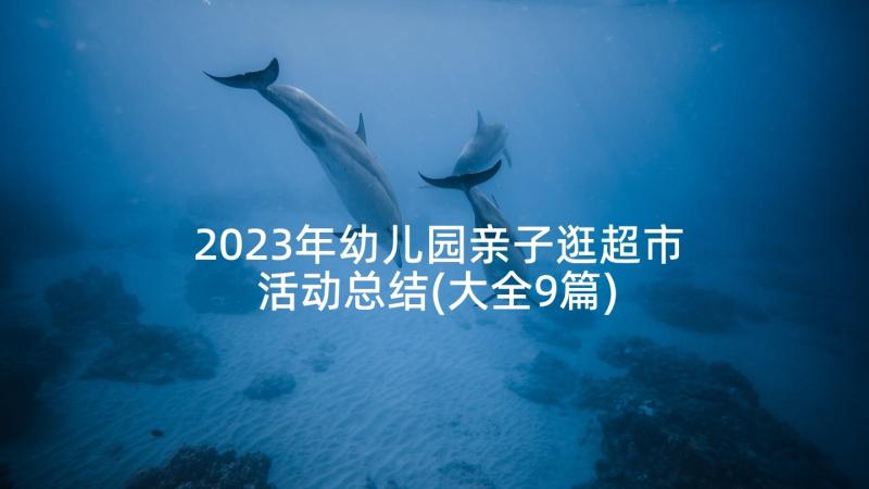 2023年幼儿园亲子逛超市活动总结(大全9篇)