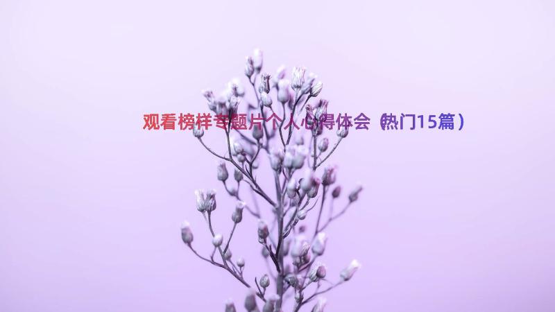 观看榜样专题片个人心得体会（热门15篇）