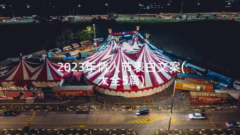 2023年情人节表白文案(大全5篇)