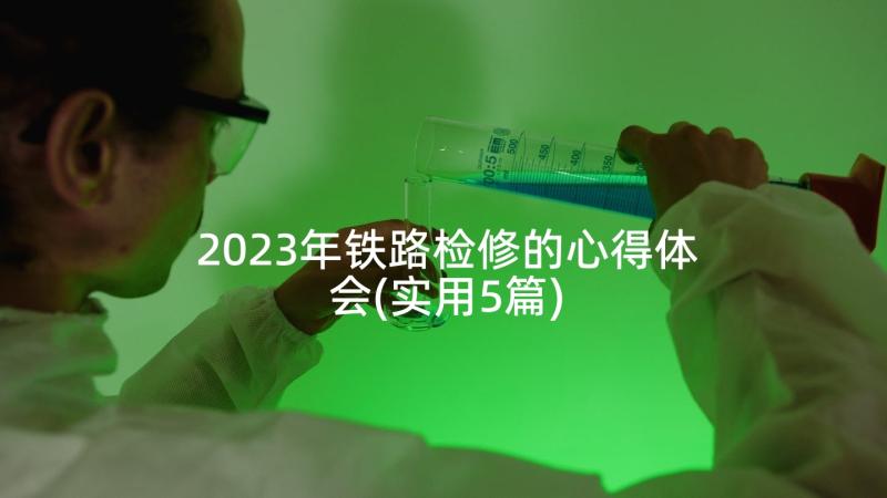 2023年铁路检修的心得体会(实用5篇)