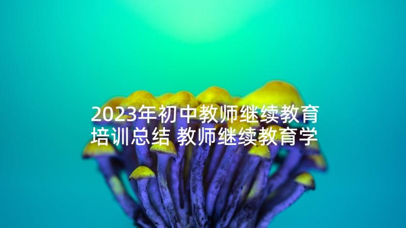 2023年初中教师继续教育培训总结 教师继续教育学习心得体会(实用10篇)