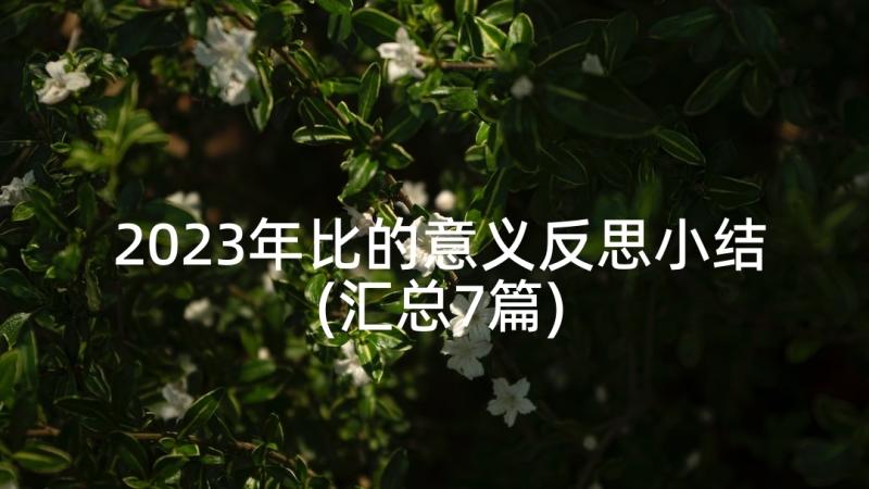 2023年比的意义反思小结(汇总7篇)