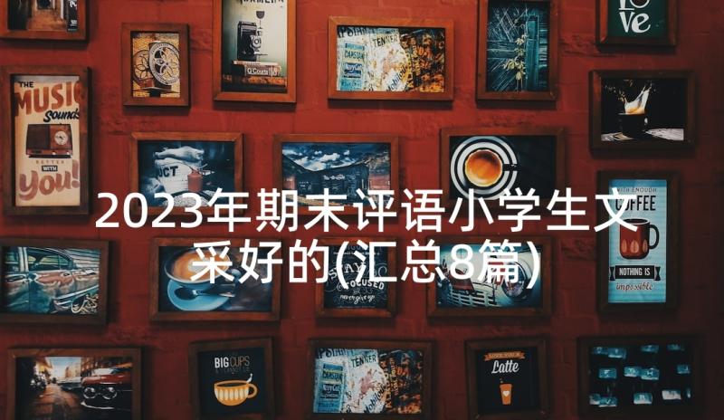 2023年期末评语小学生文采好的(汇总8篇)