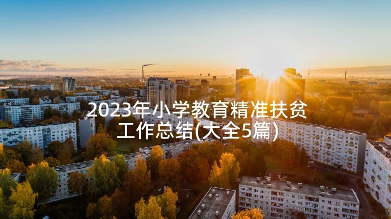 2023年小学教育精准扶贫工作总结(大全5篇)