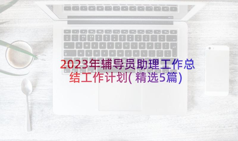 2023年辅导员助理工作总结工作计划(精选5篇)