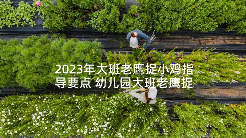 2023年大班老鹰捉小鸡指导要点 幼儿园大班老鹰捉小鸡健康活动教案(大全6篇)