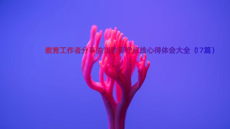 教育工作者分享的知敬畏守底线心得体会大全（17篇）