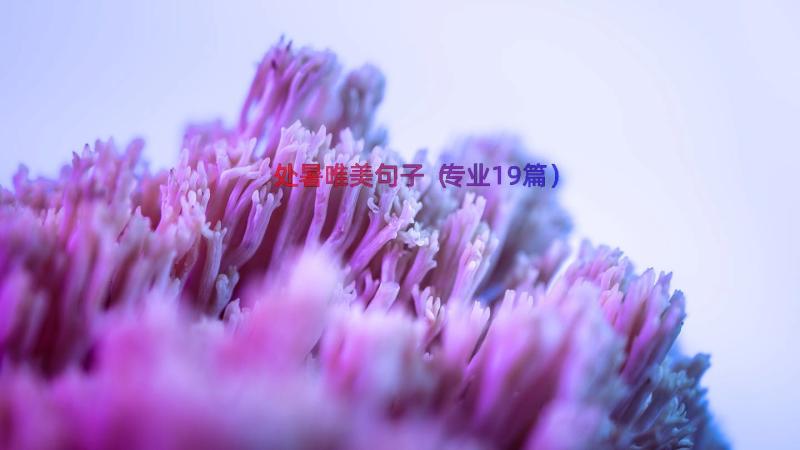 处暑唯美句子（专业19篇）