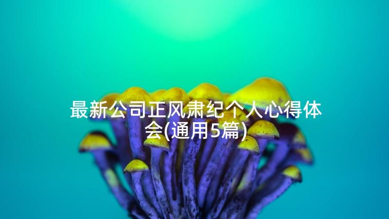 最新公司正风肃纪个人心得体会(通用5篇)