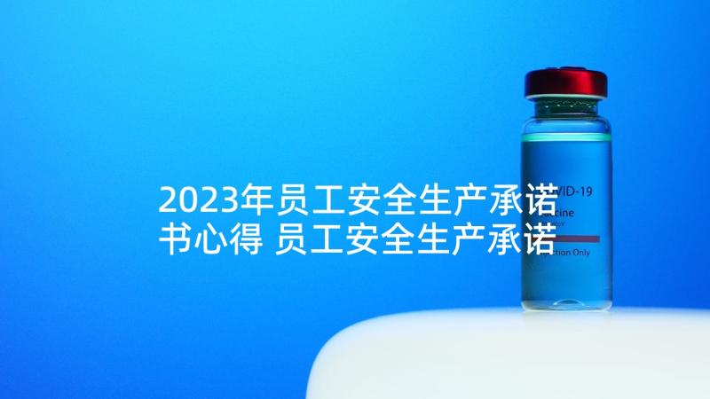 2023年员工安全生产承诺书心得 员工安全生产承诺书(汇总6篇)