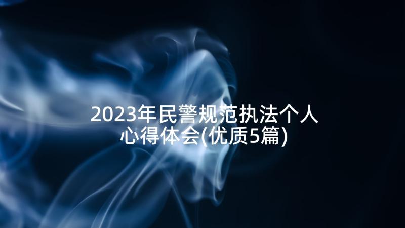 2023年民警规范执法个人心得体会(优质5篇)