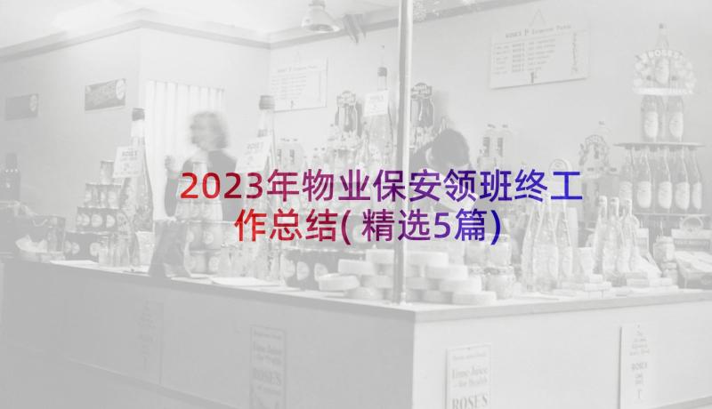 2023年物业保安领班终工作总结(精选5篇)