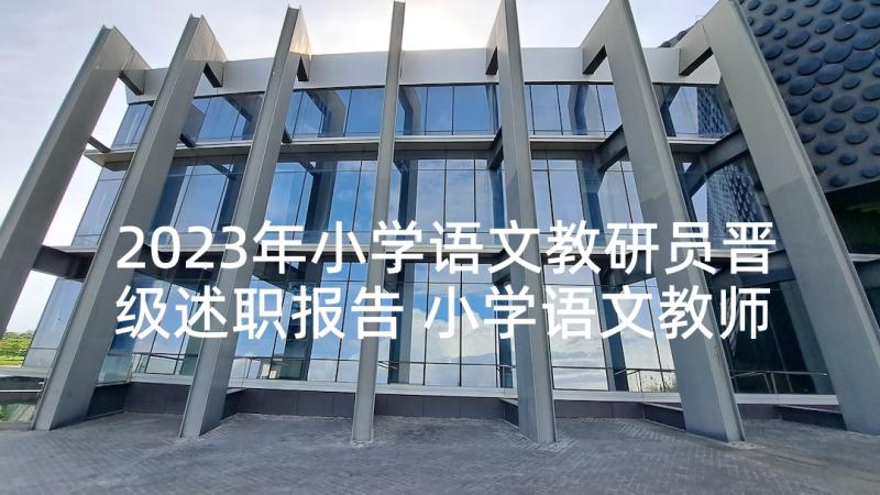 2023年小学语文教研员晋级述职报告 小学语文教师晋级述职报告(优秀5篇)