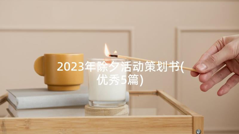 2023年除夕活动策划书(优秀5篇)