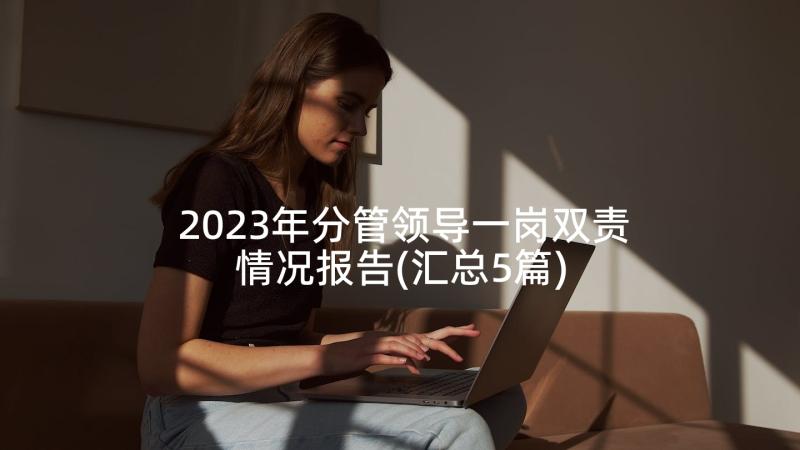 2023年分管领导一岗双责情况报告(汇总5篇)