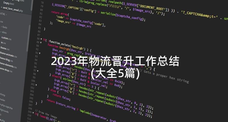 2023年物流晋升工作总结(大全5篇)