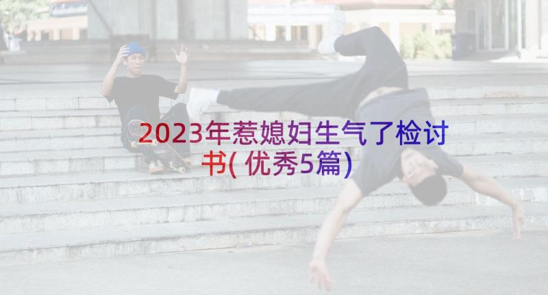 2023年惹媳妇生气了检讨书(优秀5篇)