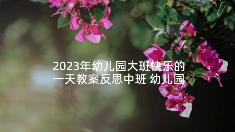 2023年幼儿园大班快乐的一天教案反思中班 幼儿园大班语言教案快乐的纽扣含反思(精选5篇)