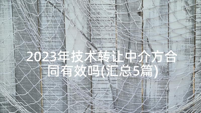 2023年技术转让中介方合同有效吗(汇总5篇)