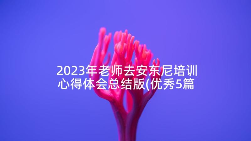 2023年老师去安东尼培训心得体会总结版(优秀5篇)