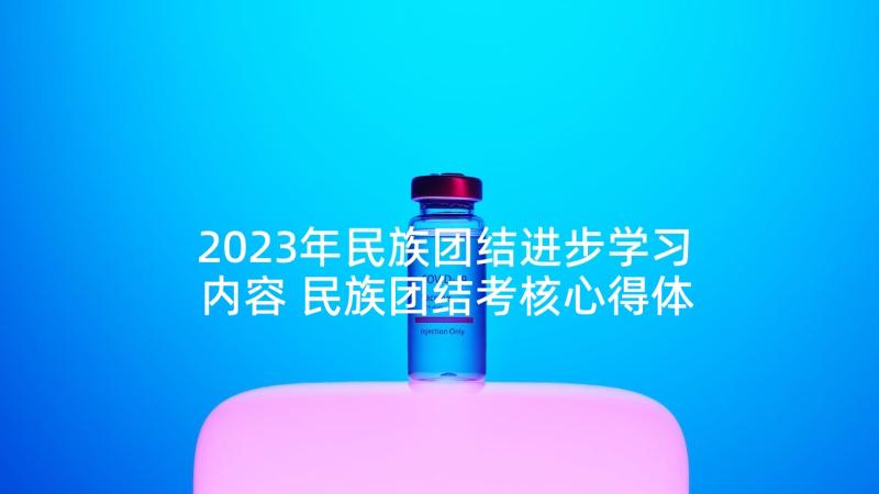 2023年民族团结进步学习内容 民族团结考核心得体会(精选7篇)