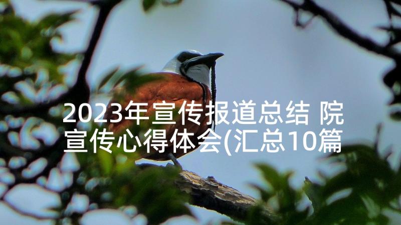 2023年宣传报道总结 院宣传心得体会(汇总10篇)