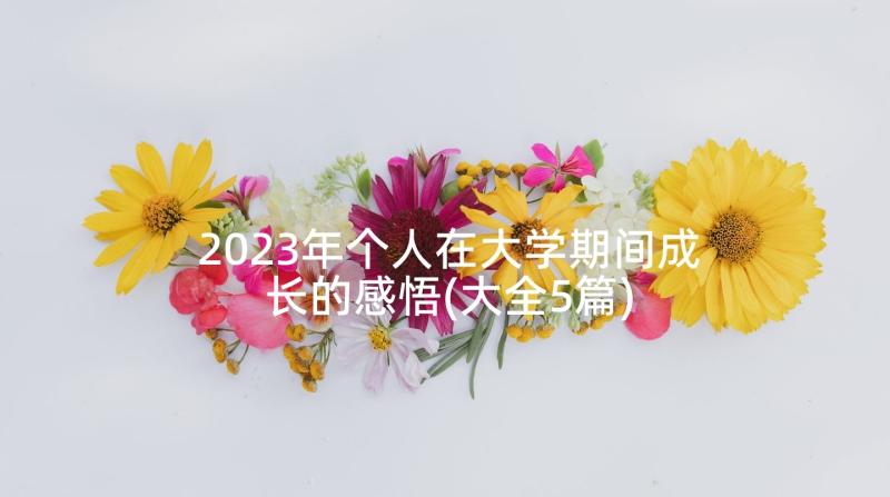 2023年个人在大学期间成长的感悟(大全5篇)