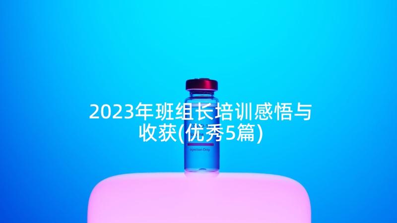 2023年班组长培训感悟与收获(优秀5篇)