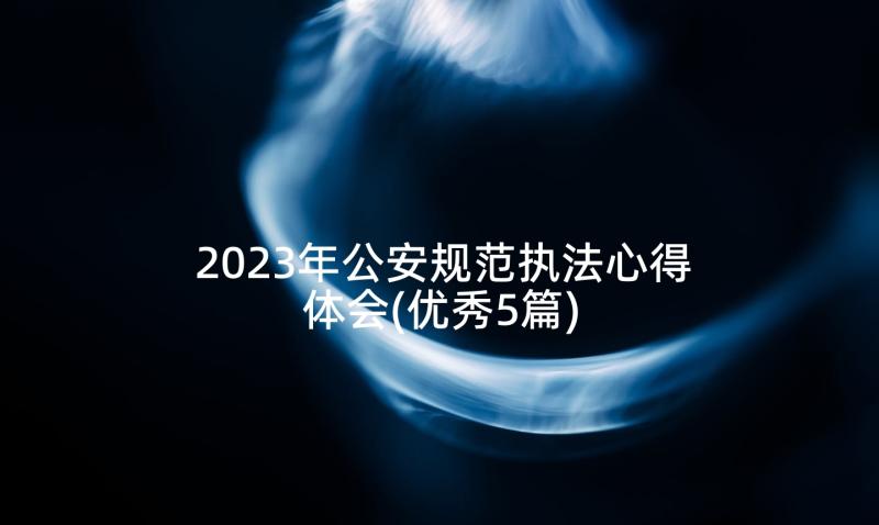 2023年公安规范执法心得体会(优秀5篇)