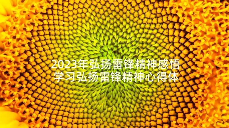 2023年弘扬雷锋精神感悟 学习弘扬雷锋精神心得体会感悟(通用5篇)